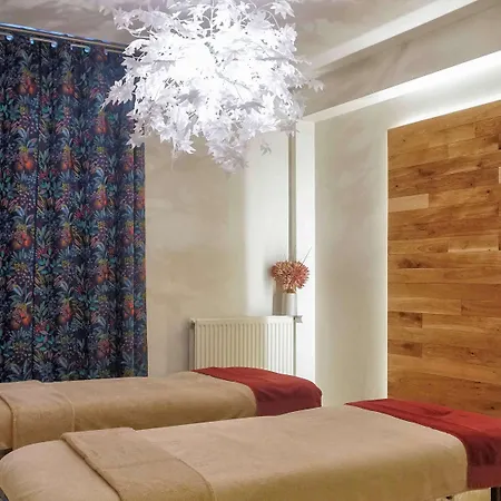 Mercure Spa&bien-être Hotel Saint-Nectaire