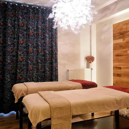 Mercure Spa&bien-être 3* Saint-Nectaire