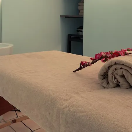 Mercure Spa&bien-être 3* Saint-Nectaire